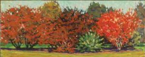 The Prunus Sextet, October, Arboretum, Experimental Farm by David W Jones