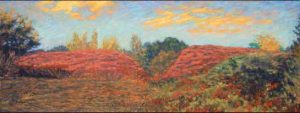Ottawa Twin Sumac, Fletcher Wildlife Garden, Experimental Farm by David W Jones