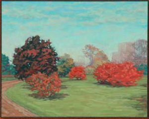 Euonymous Bush, Euonymous Tree, Arboretum, Experimental Farm by David W Jones