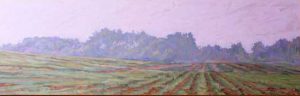 Summer Rain, Corn, Soy and Trees, Ash Lane, Experimental Farm, Ottawa by David W Jones
