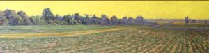 Strawberry Field, Lemon Sky by David W Jones