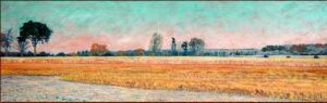 Fields of Gold, Carp, Ontario by David W Jones