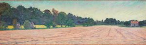 Copper Field and Lemon Thyme Horizon, Dunrobin by David W Jones