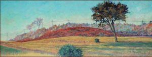 Elm and Sumac, Corkstown Road (near Highway 417) by David W Jones